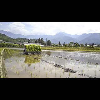 GreenFarmにしぞの