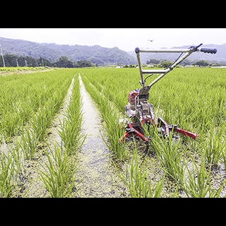 GreenFarmにしぞの